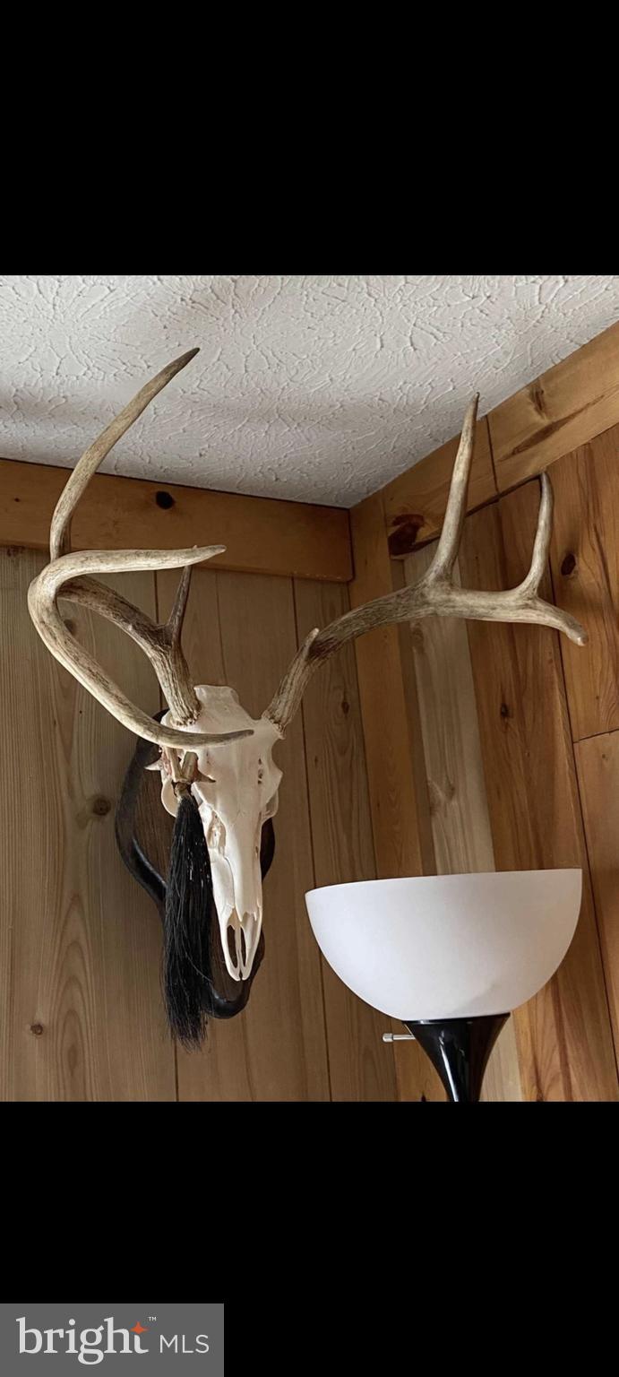 NONE UNRESTRICTED - Land