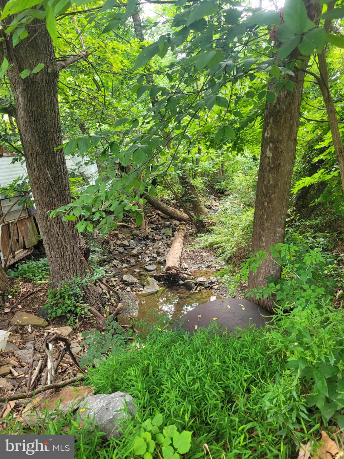 NONE UNRESTRICTED - Land