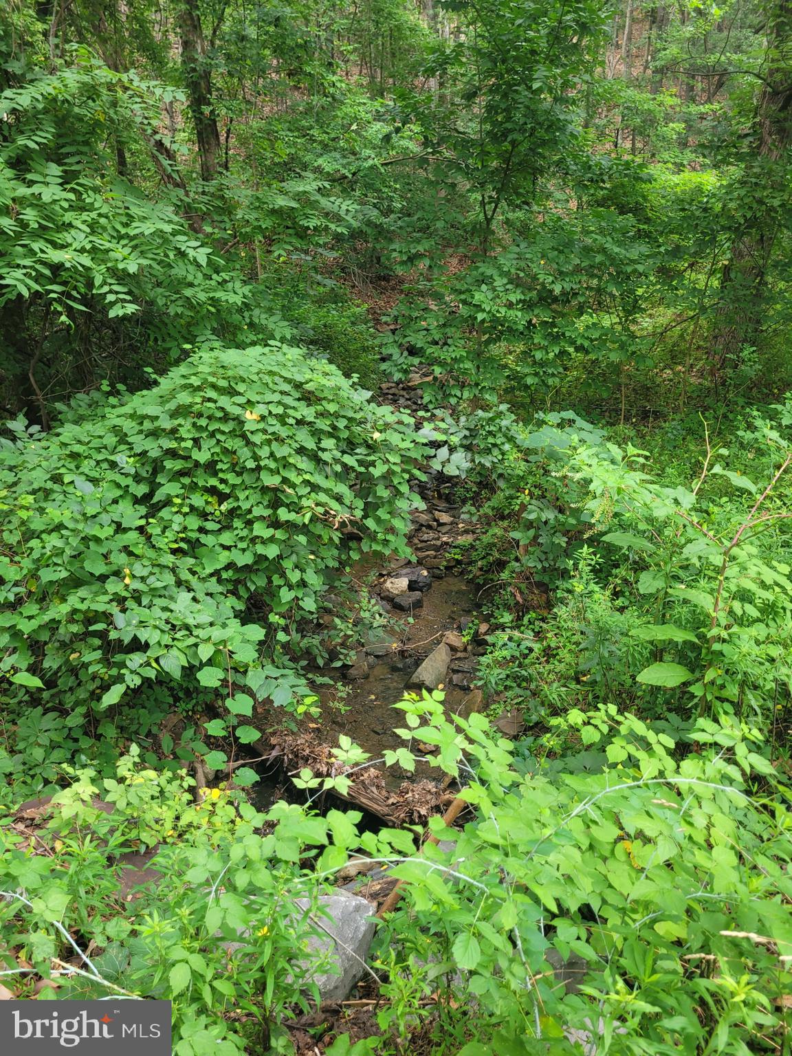 NONE UNRESTRICTED - Land