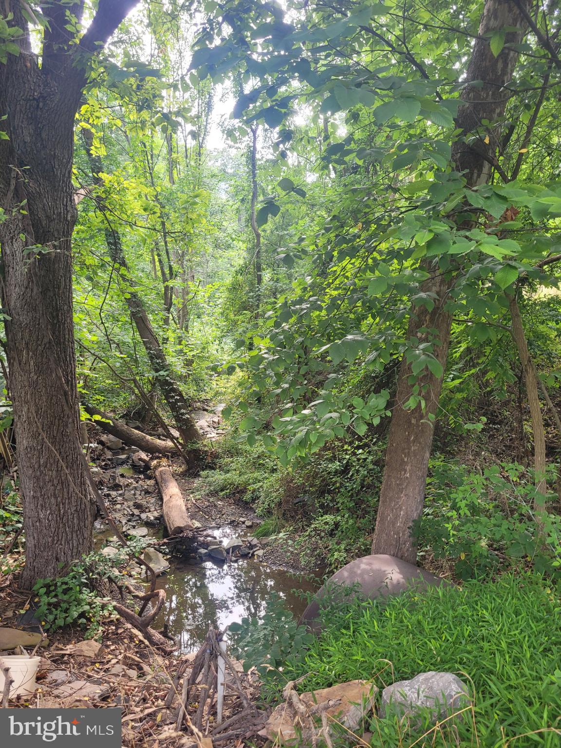 NONE UNRESTRICTED - Land