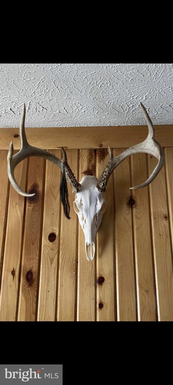 NONE UNRESTRICTED - Land