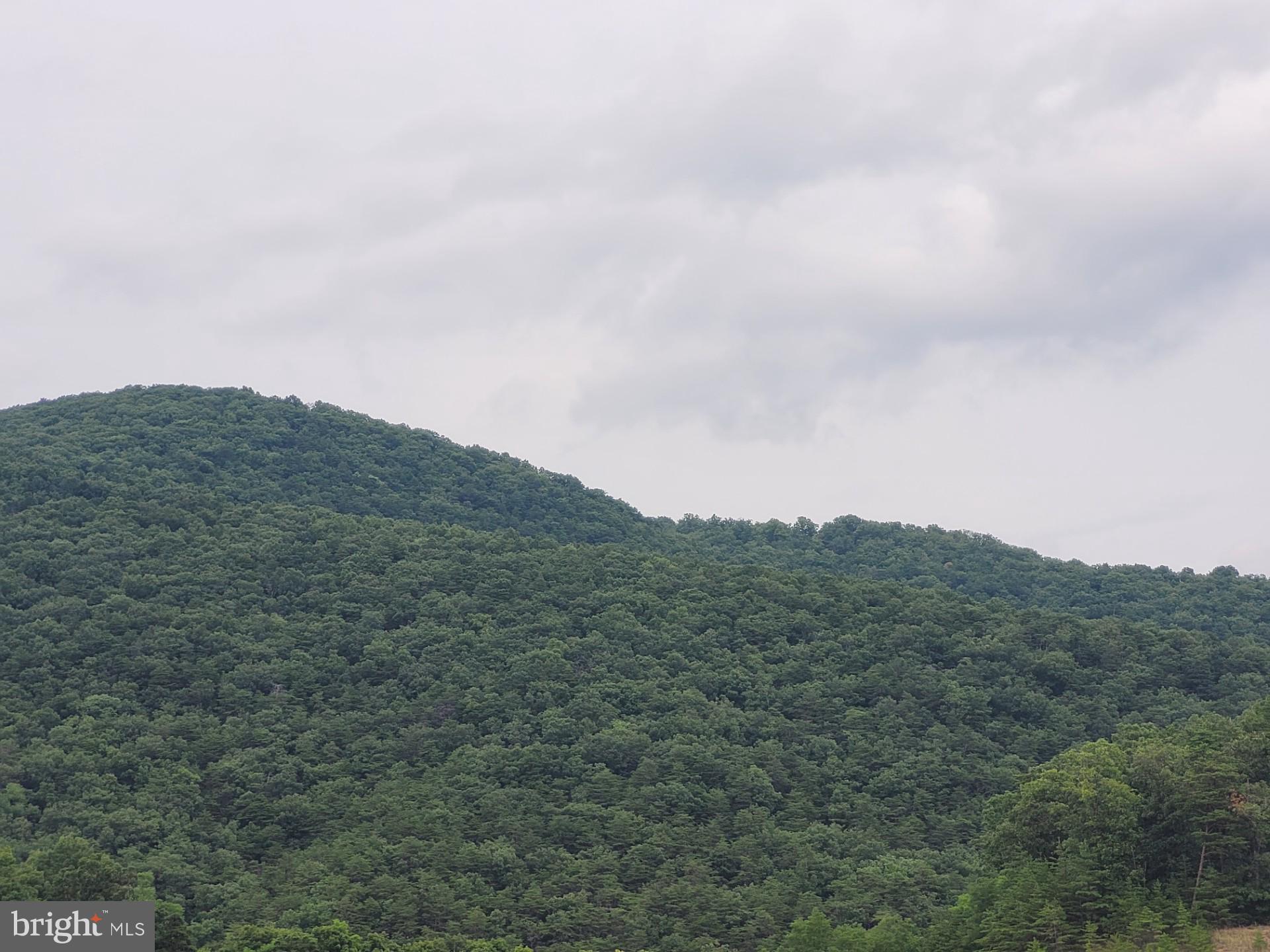 NONE UNRESTRICTED - Land