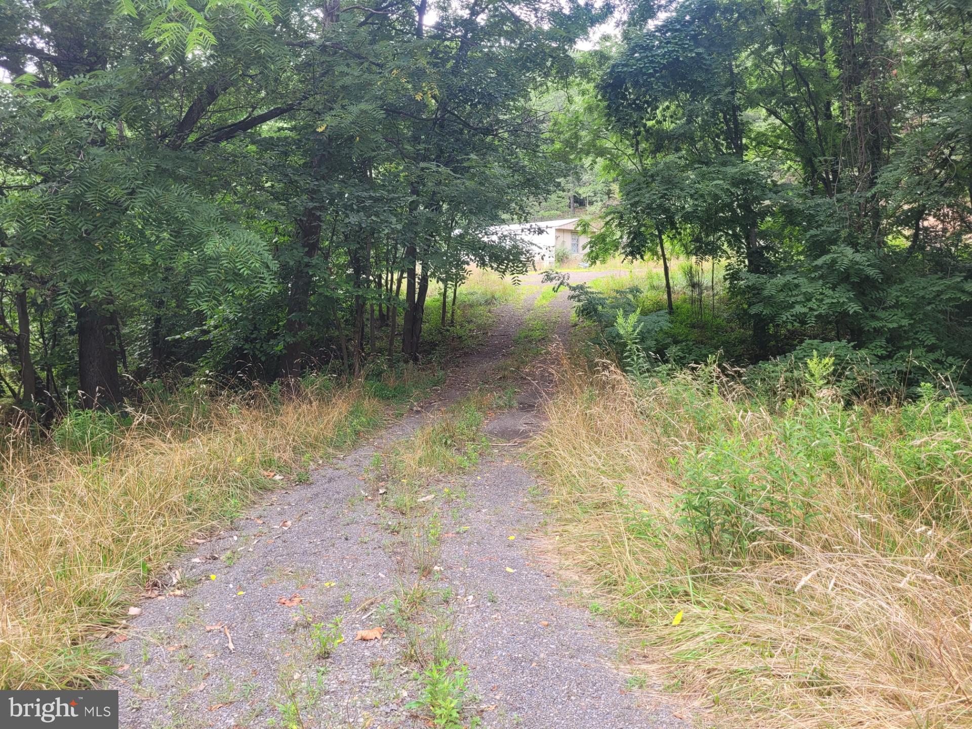 NONE UNRESTRICTED - Land