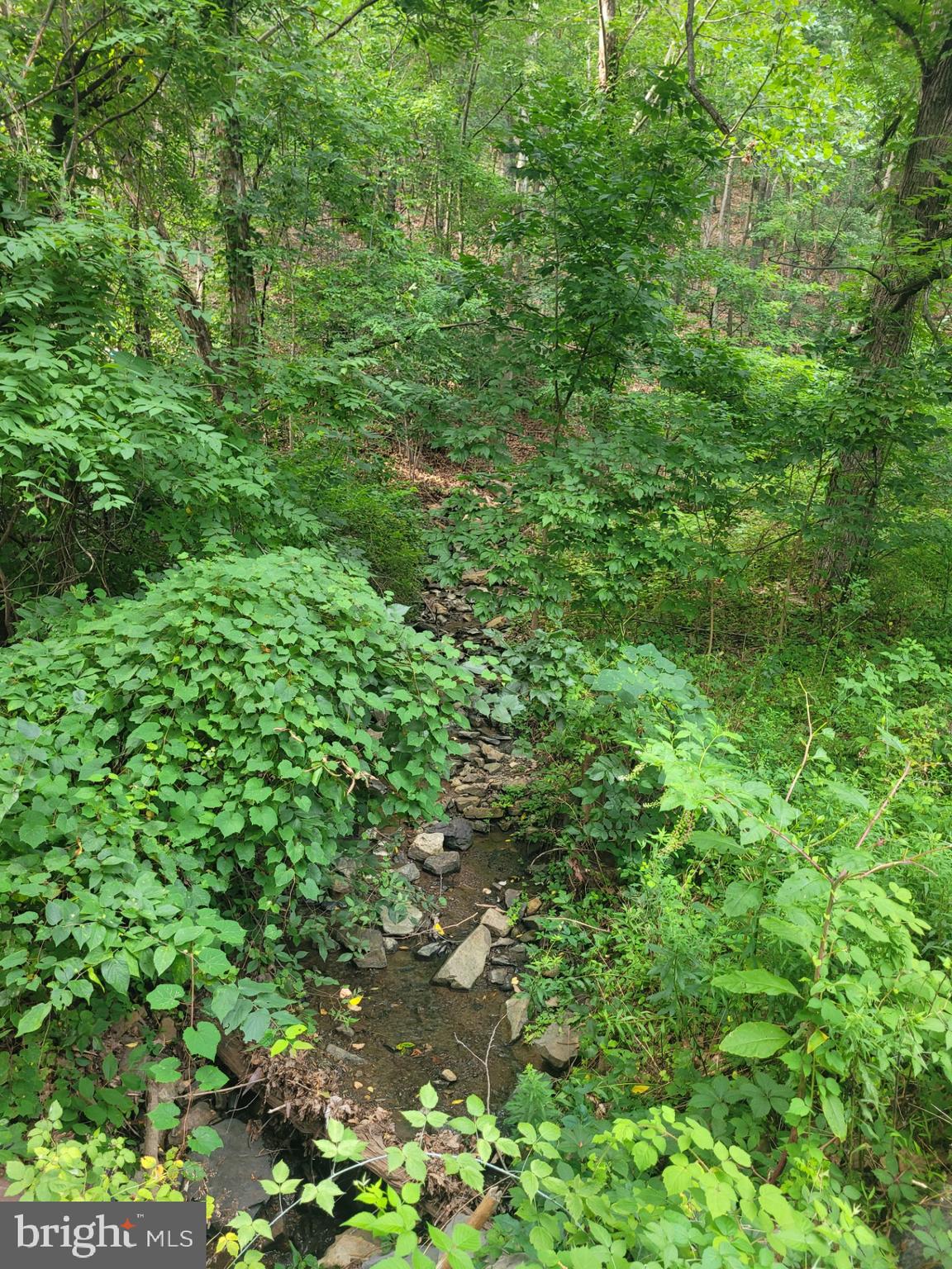 NONE UNRESTRICTED - Land