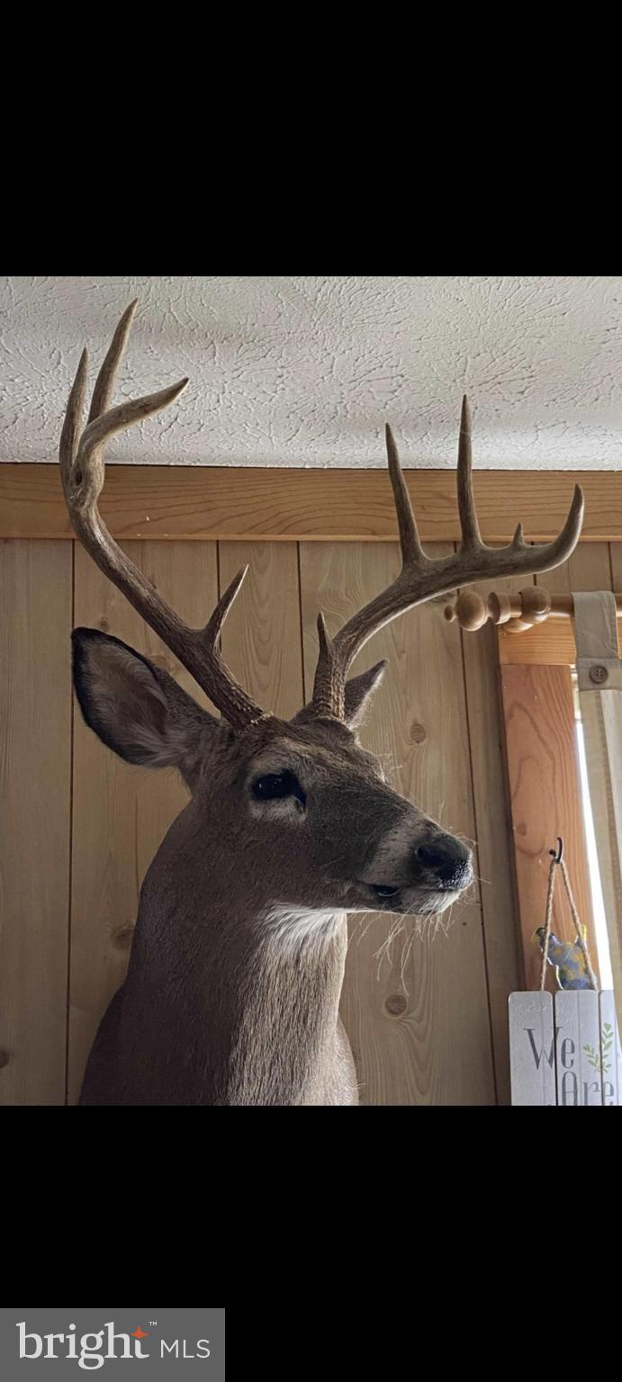 NONE UNRESTRICTED - Land