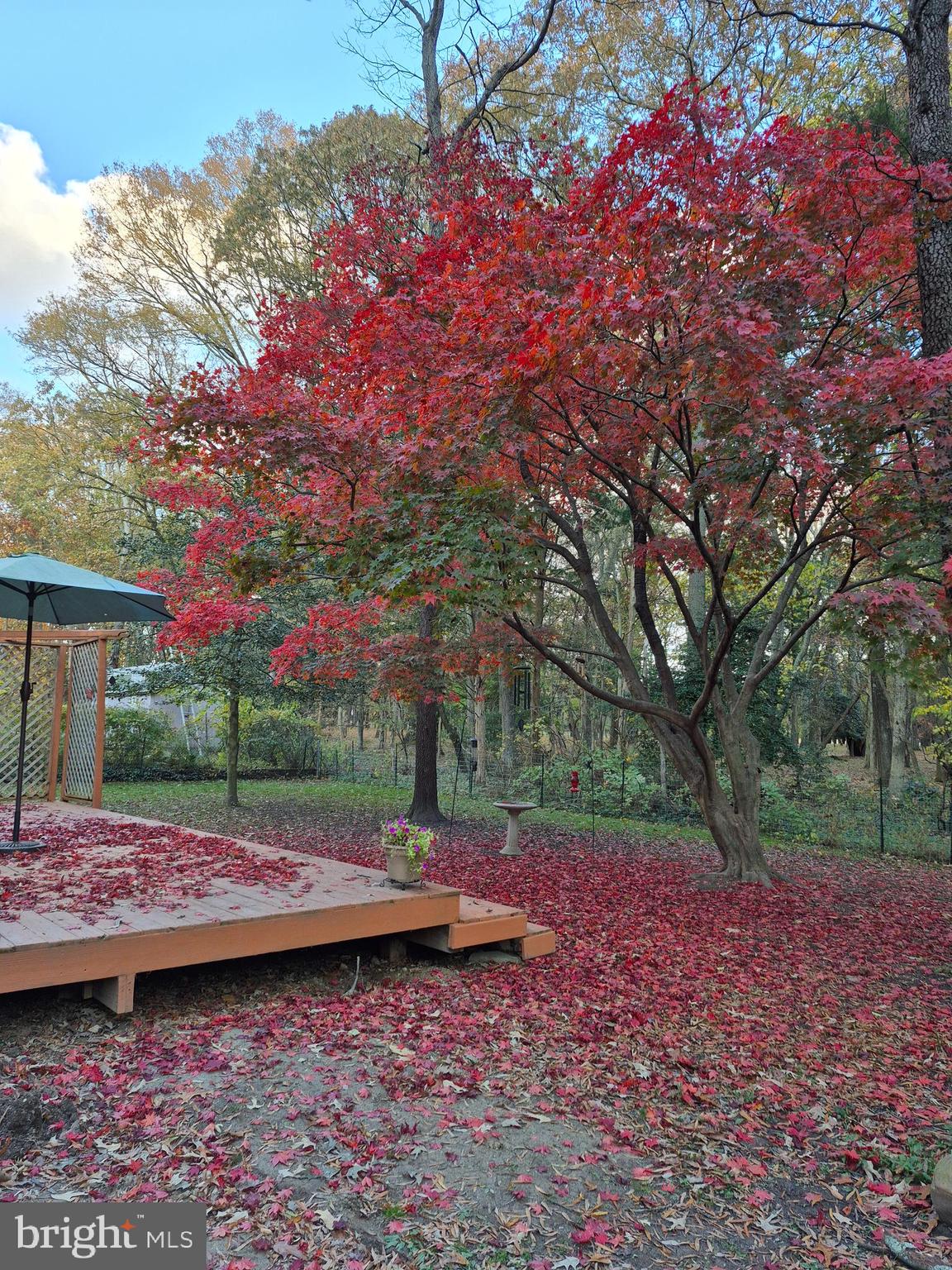 SARAH SKIPPER LANDS - Residential