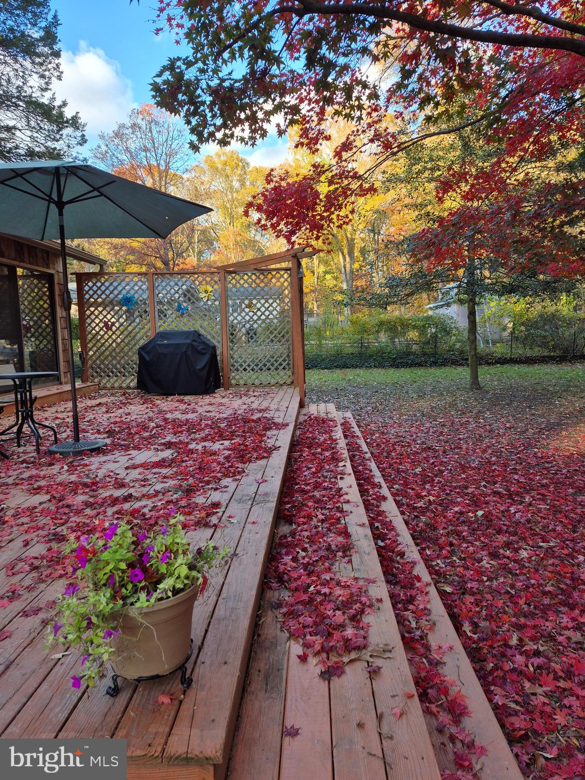 SARAH SKIPPER LANDS - Residential