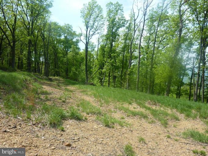 NONE AVAILABLE - Land