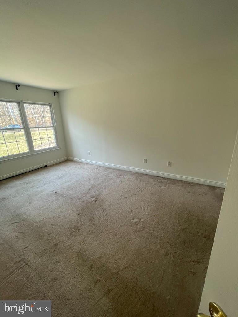 TAMERLANE - Residential Lease