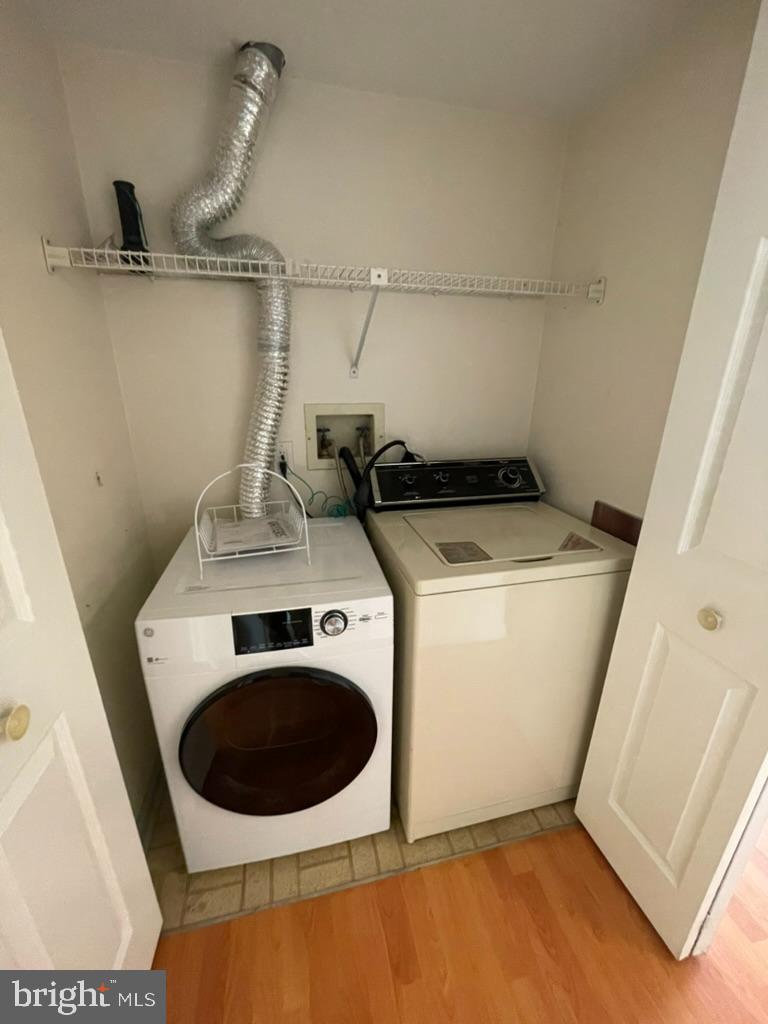 TAMERLANE - Residential Lease