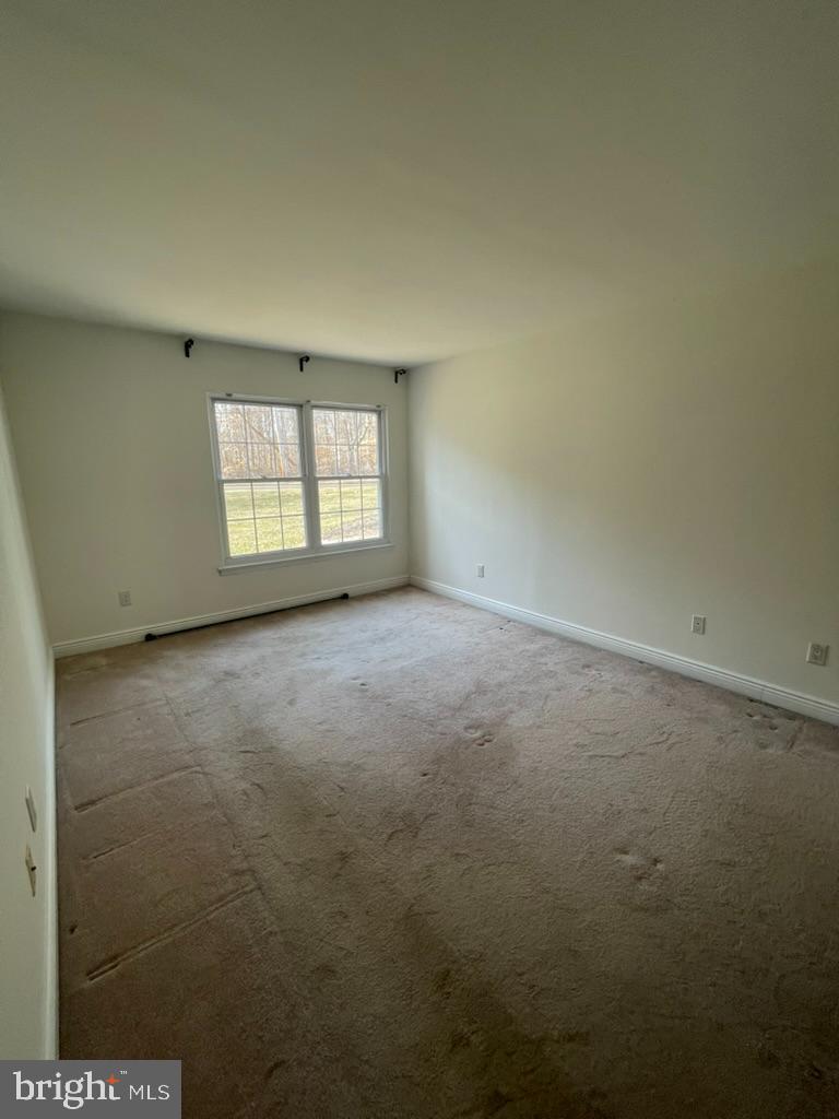 TAMERLANE - Residential Lease