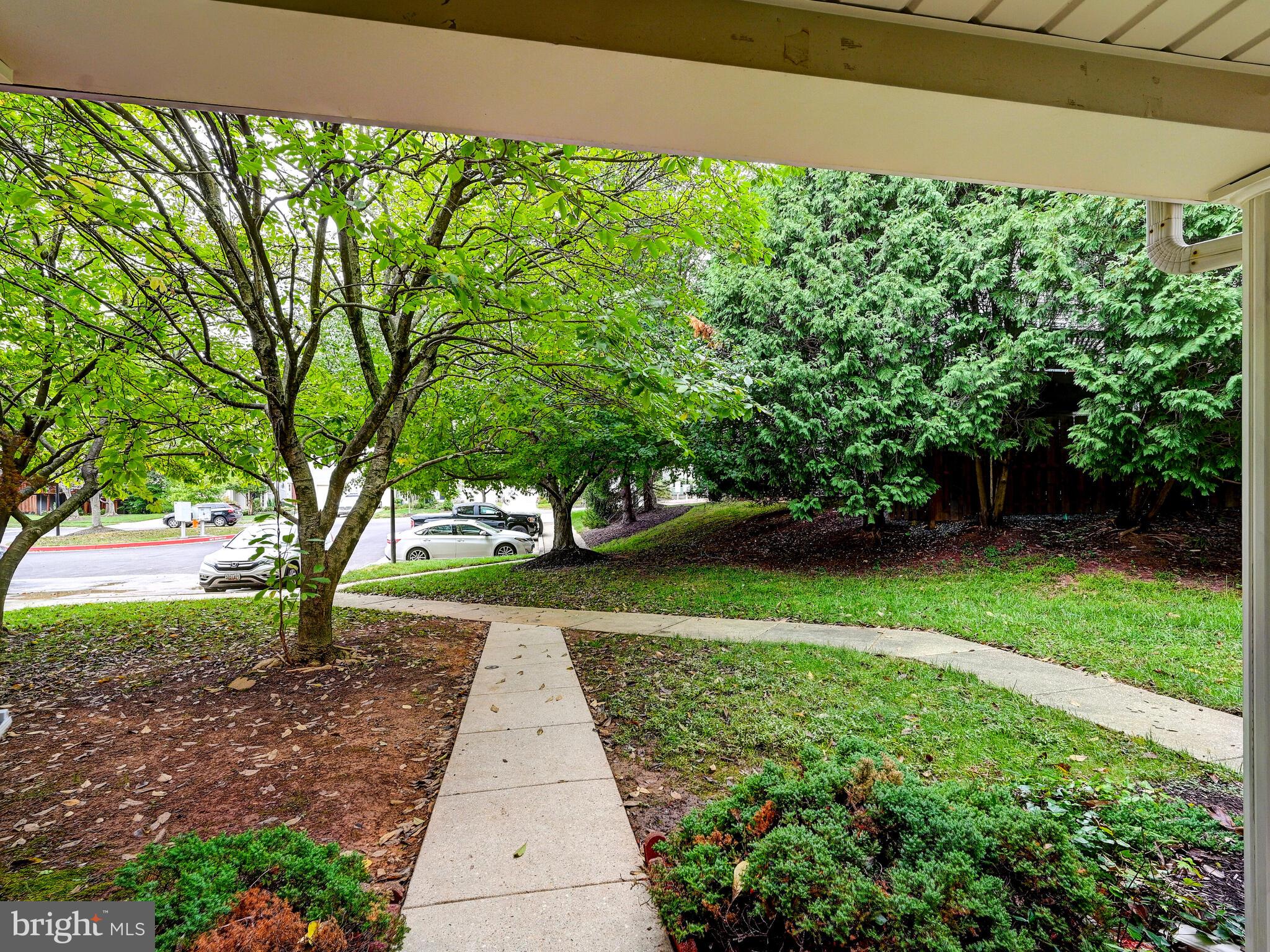 CLARY'S FOREST - Residential Lease