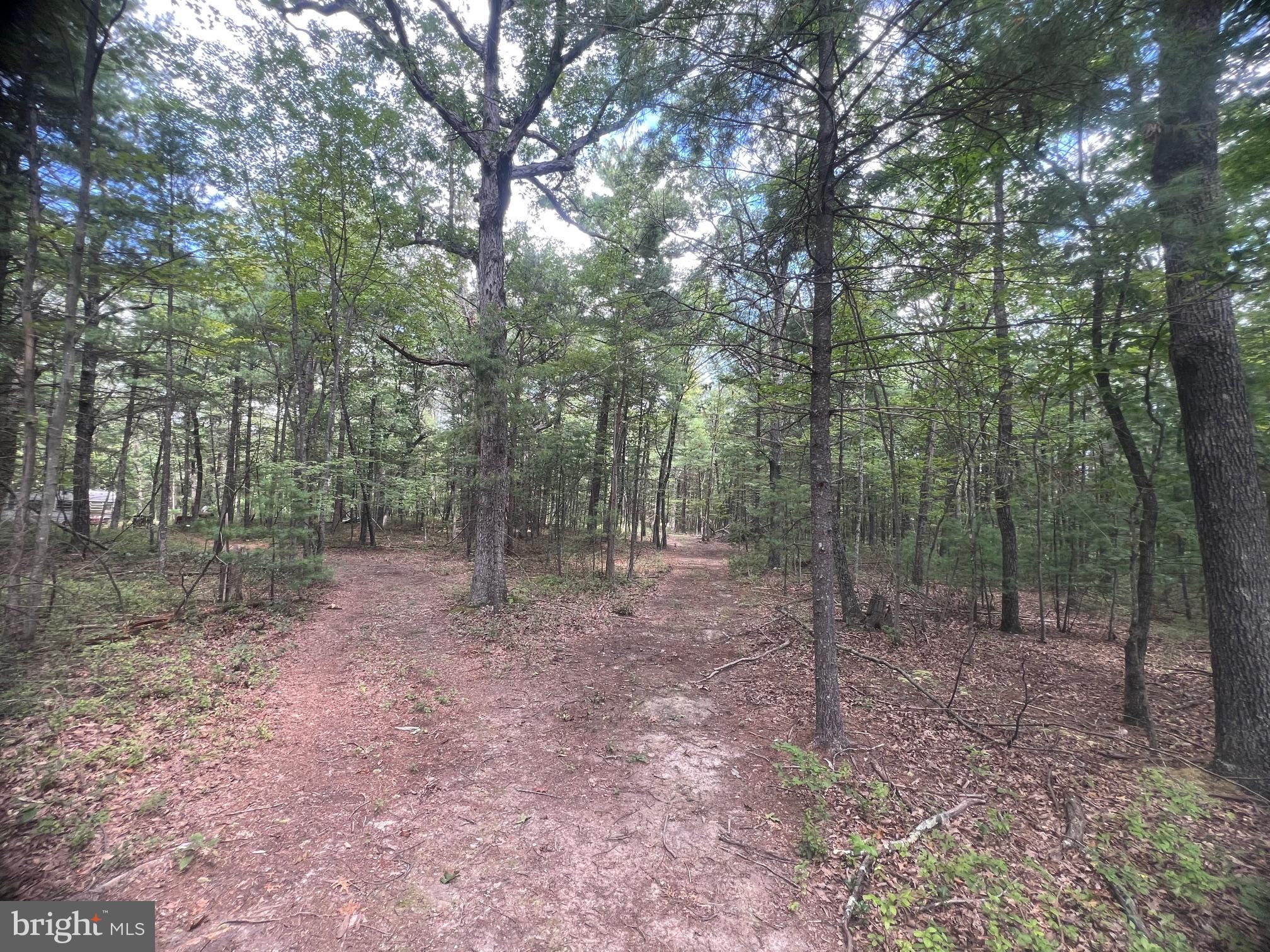 SUPINLICK RIDGE ROAD