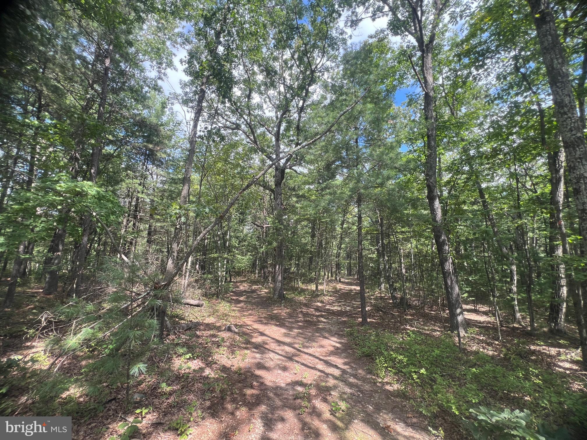 SUPINLICK RIDGE ROAD