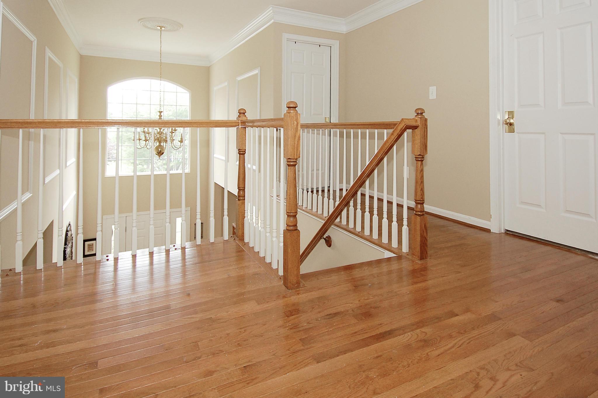 BELMONT - Residential Lease