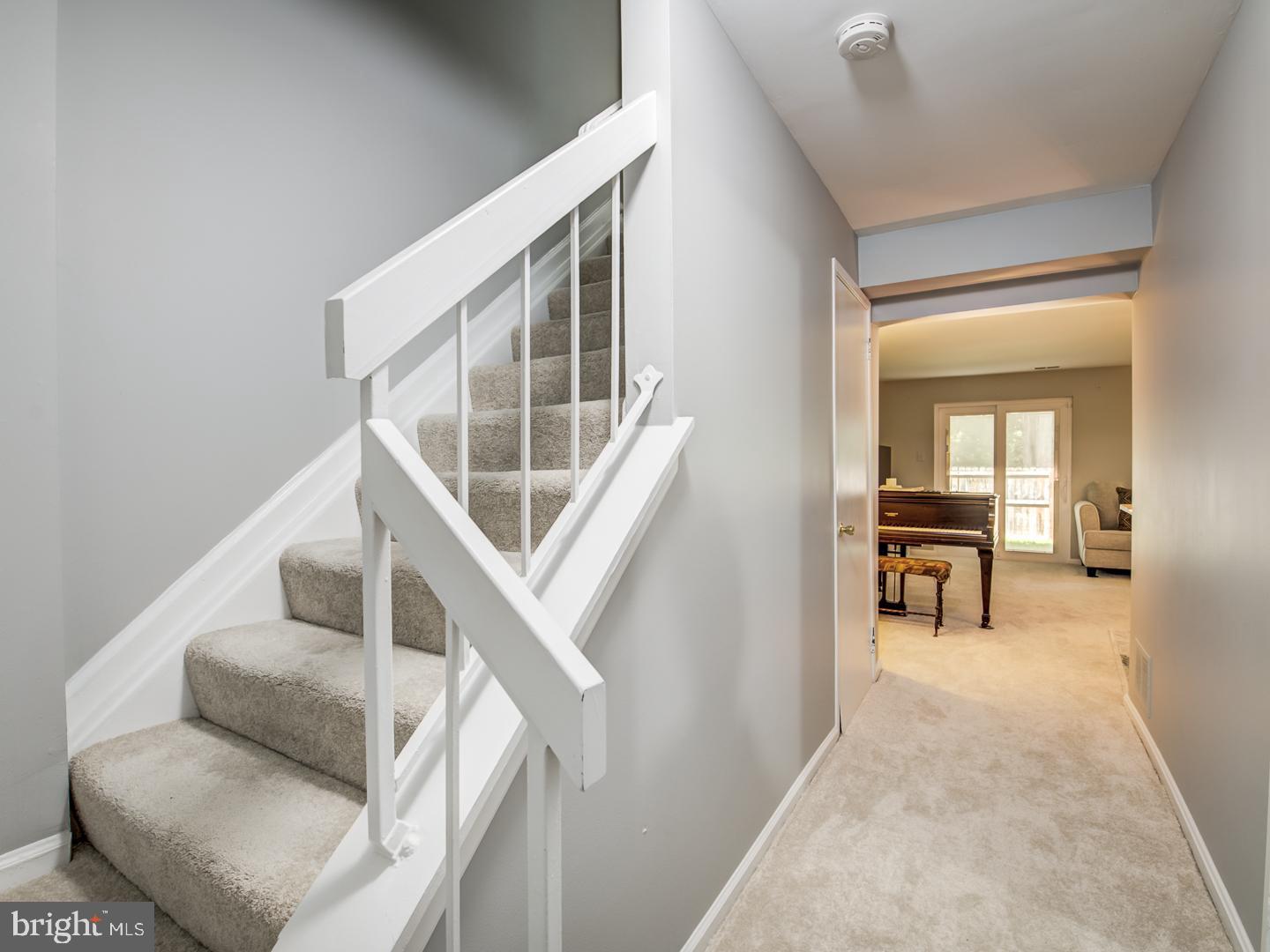 SENECA FOREST - Residential