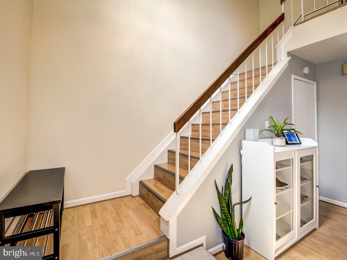 SENECA FOREST - Residential