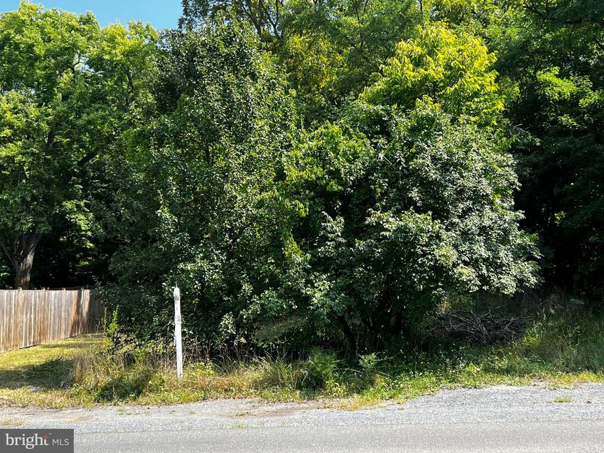 ****SELLER FINANCING POSSIBLE****   ZONED COMMERCIAL AND RESIDENTIAL.  One of a kind 1.56 Acre beautiful wooded lot on Main Street in Charming  Small Town America Boyce, Virginia.  The property is unique with the front zoned commercial and the back zoned residential.  This lot backs up to Boyce Crossing, a single-family private community.  The property adjacent to this lot on the right is "Permanently Protected by the Clarke County Conservation Easement Authority".  A great opportunity in a quaint and scenic little town (population approximately 796) but only 6 Miles to Berryville, 9.5 Miles to Winchester, 10 Miles to Stephens City, and 30 Miles to Leesburg.  Perfect for a home with a detached office in the heart of Boyce -- Dentist, Salon, or build your home with a great buffer for privacy.  Use your imagination to maximize use of this amazing Lot.  Public Sewer and Water access available along main street.