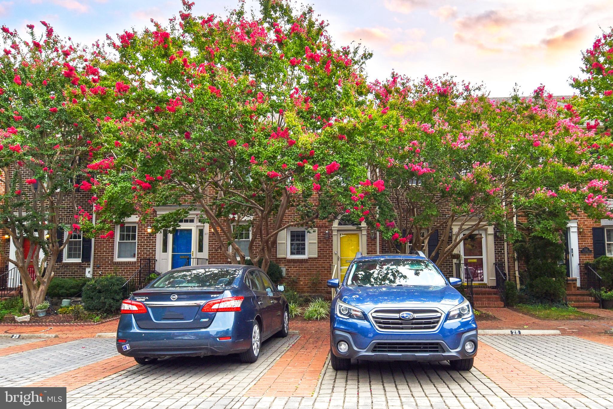 TOBACCO QUAY - Residential Lease