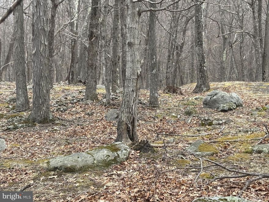 Community surrounded by 17,371 acres of Federally owned recreational land including 2,000 acres of Dolly Sods scenic area in the Monongahela National Forest.  Hunt, fish, hike, ski, kayak...it's all in your backyard!