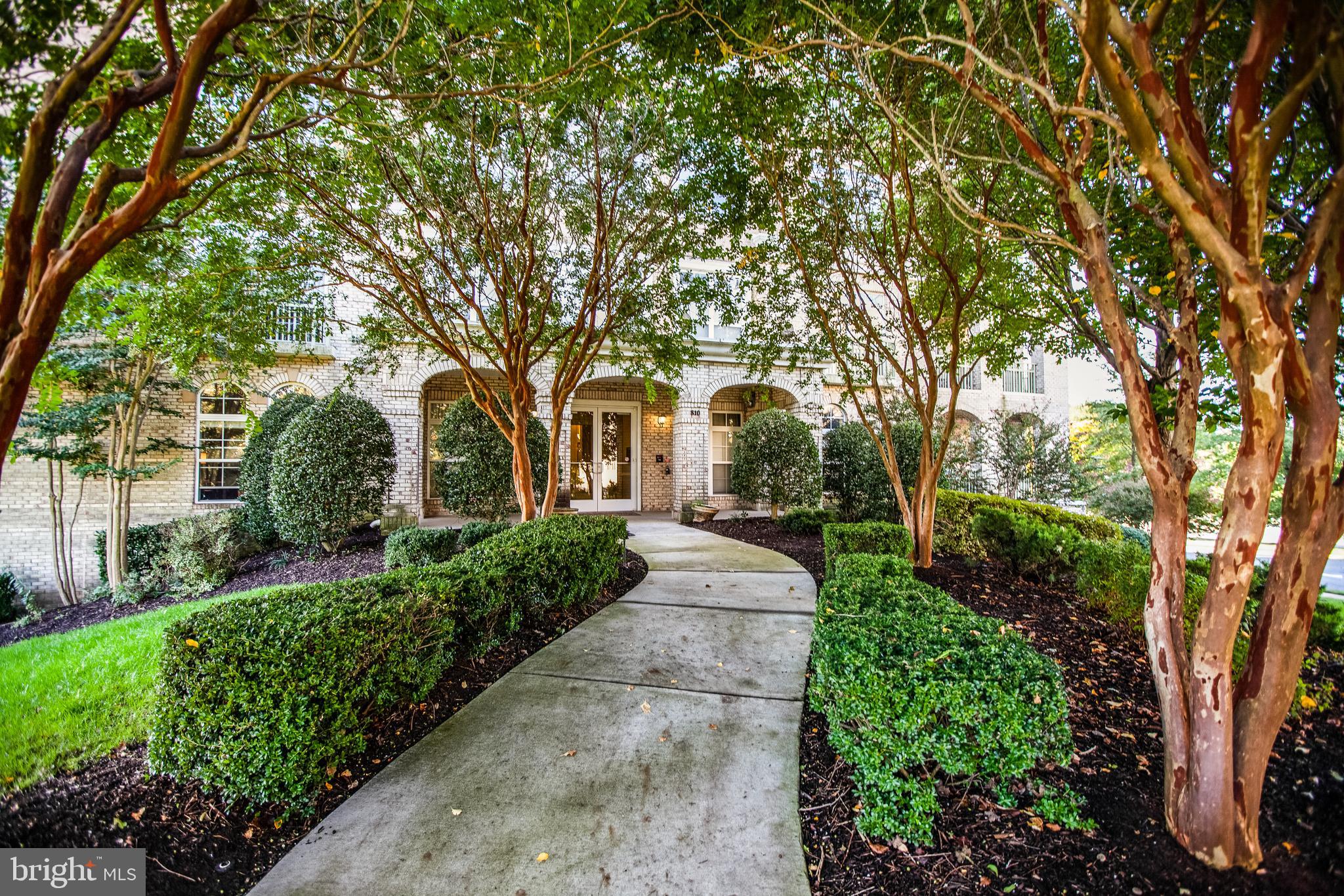 RIVER CLUB 1 AT BELMONT - Residential