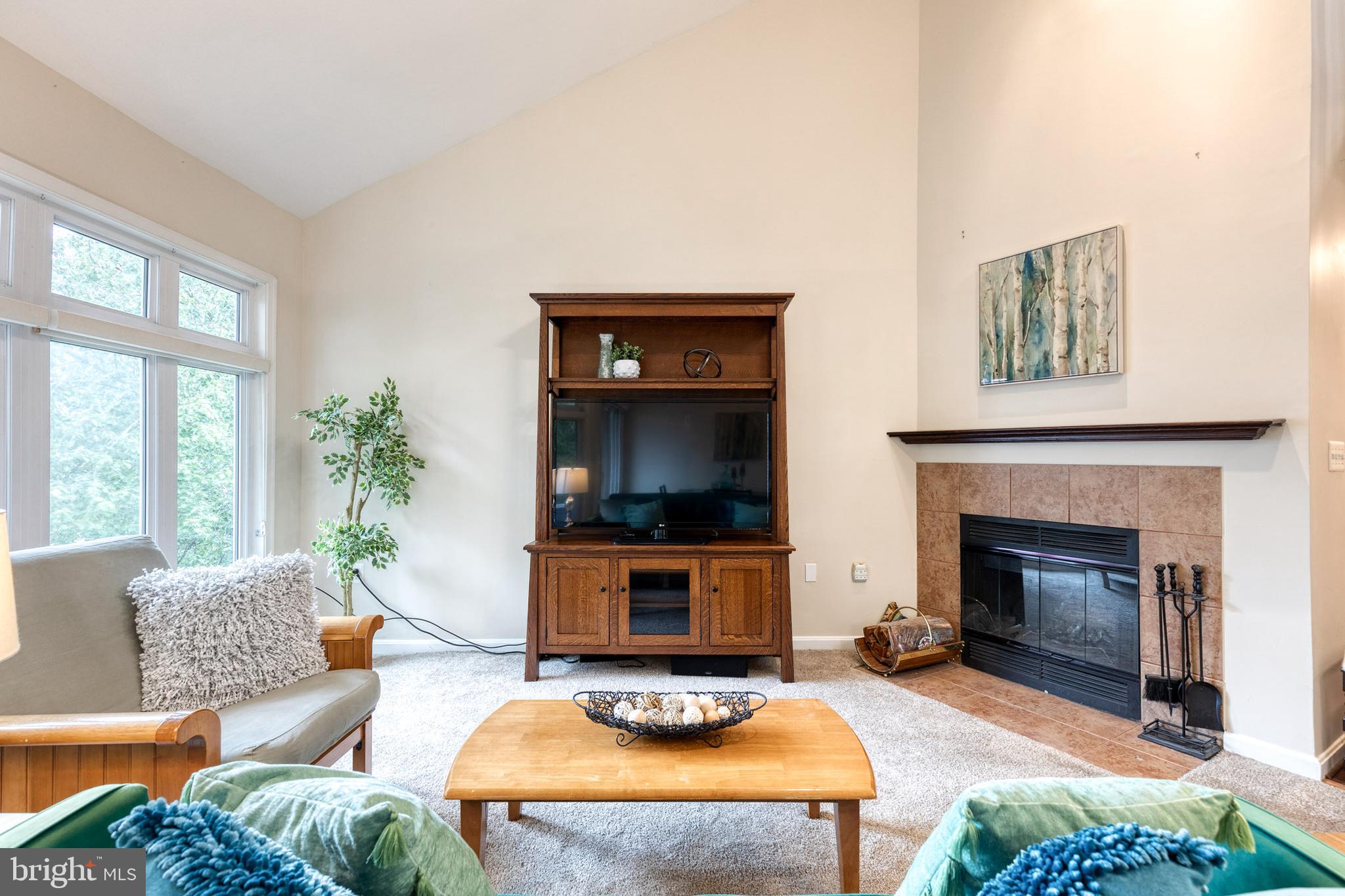 LAKE HERON CONDO - Residential