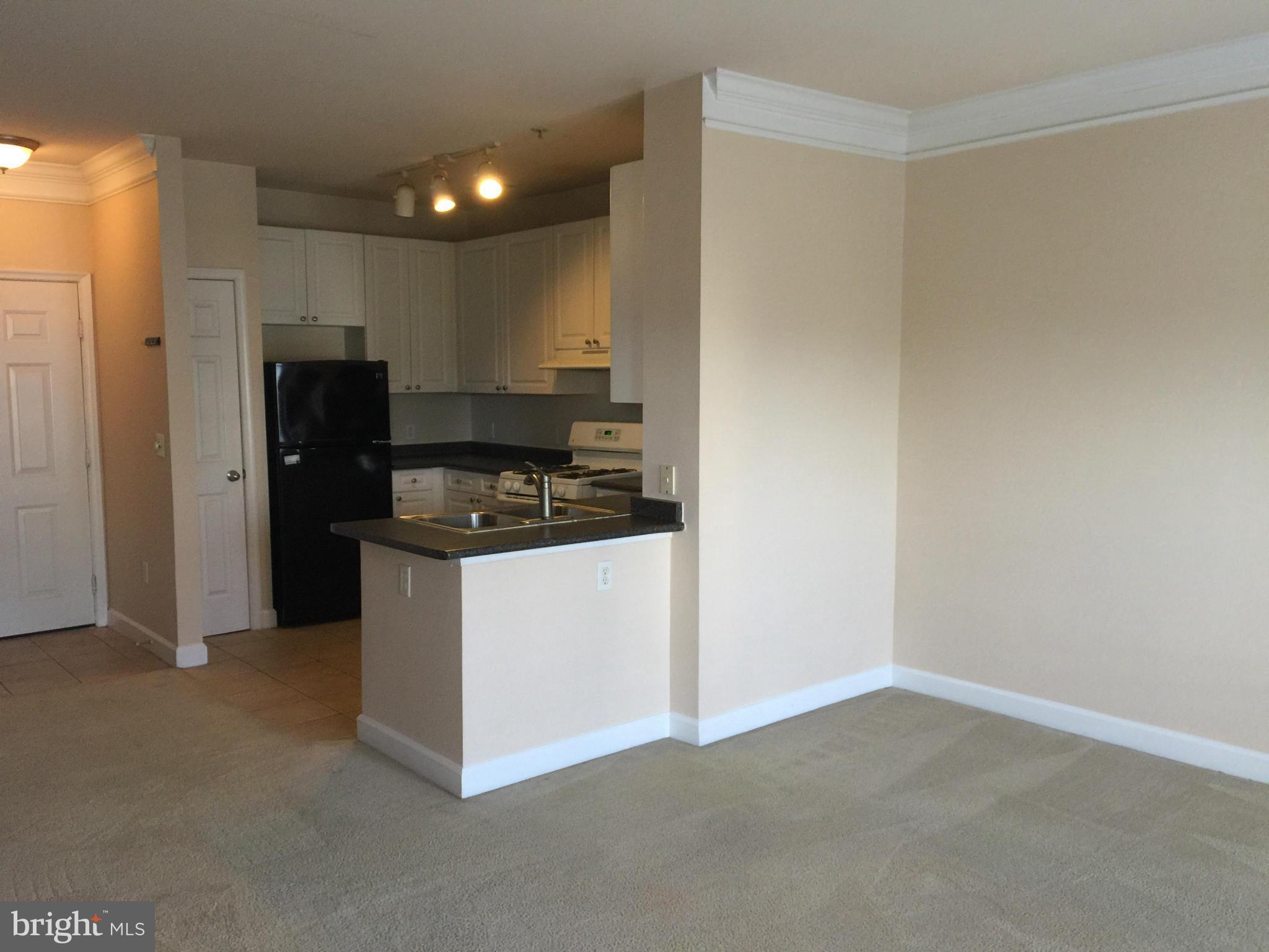 FITZ AT ROCKVILLE TOWN C - Residential Lease