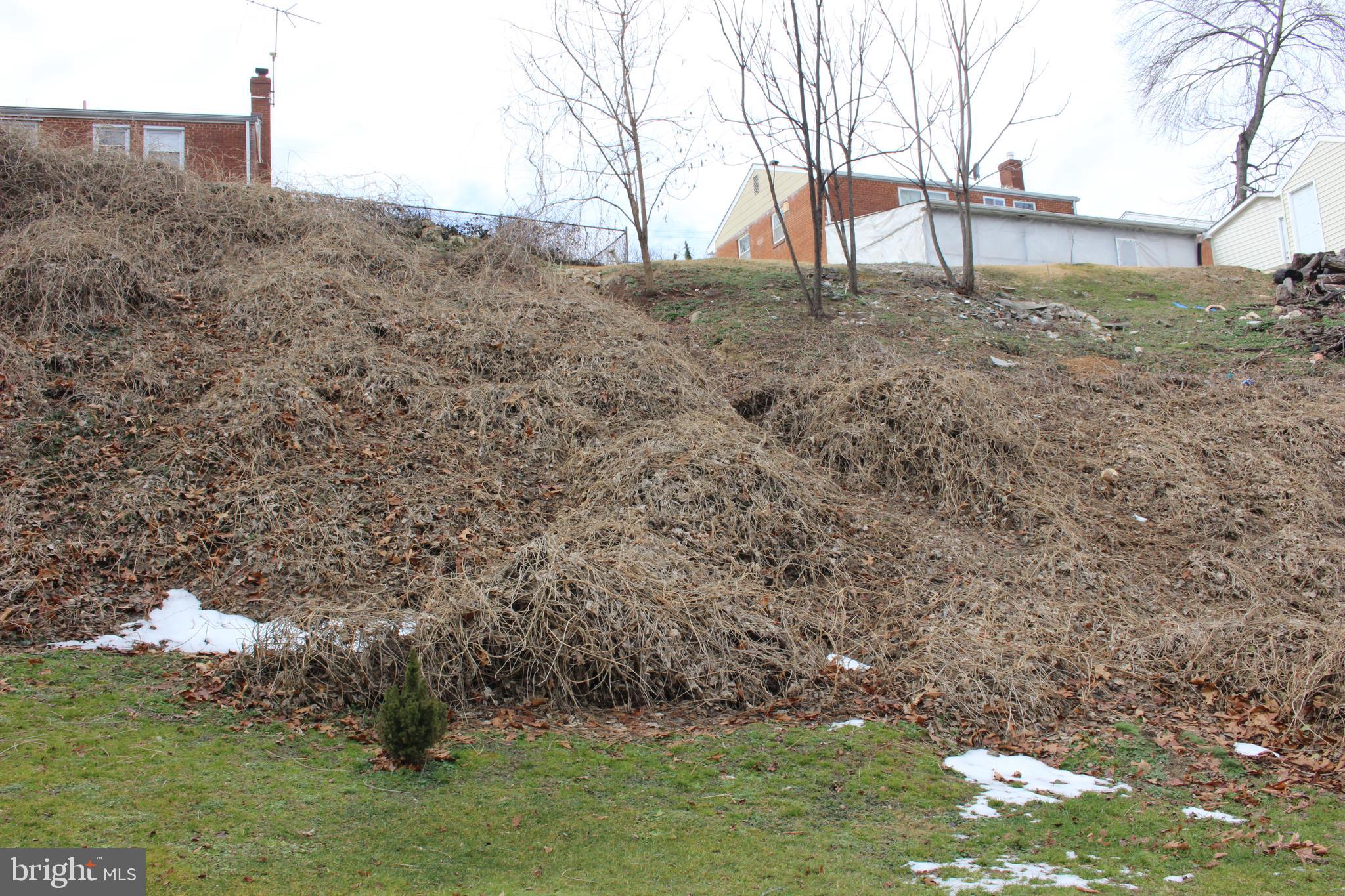 DEFENSE HEIGHTS - Residential