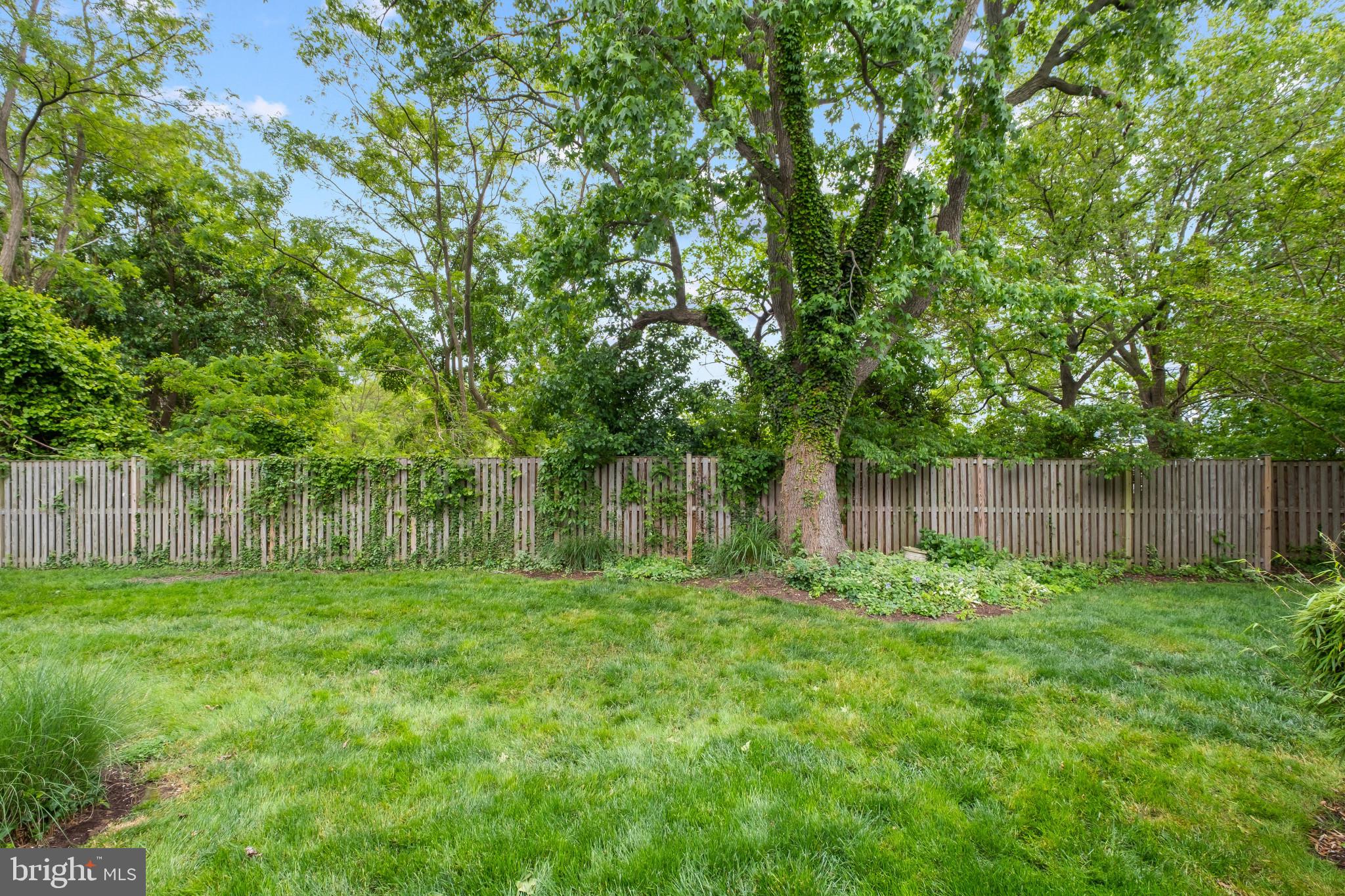 QUEENS LANDING - Residential