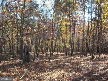 SLIM CHANCE ACRES - Land