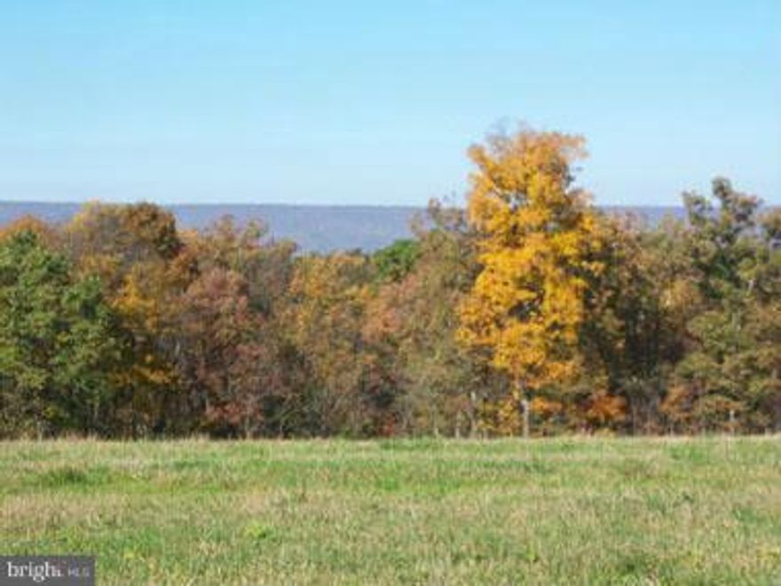 NEW WITH VIEW---You'll enjoy the view and peace and quiet on this 30.71 acres in Southern Morgan County WV. Features hardwood trees and a large open field setting on the top of a ridge. Seller has provided a current septic permit.