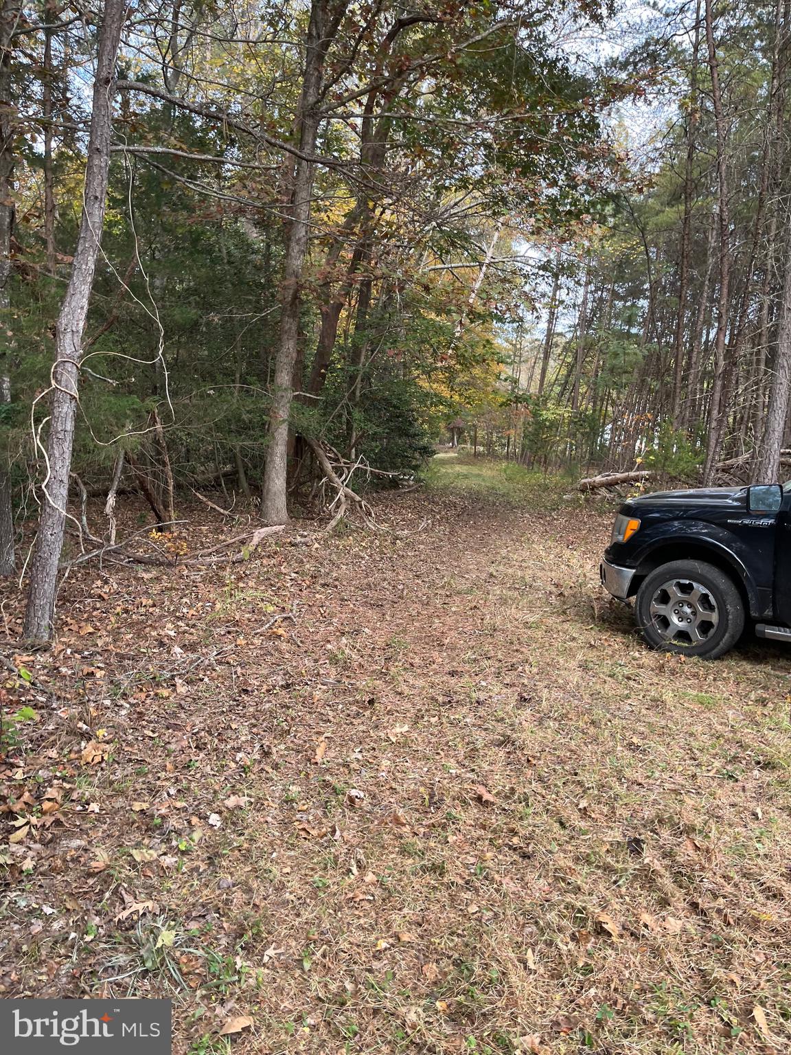 14686 DRY BRIDGE ROAD