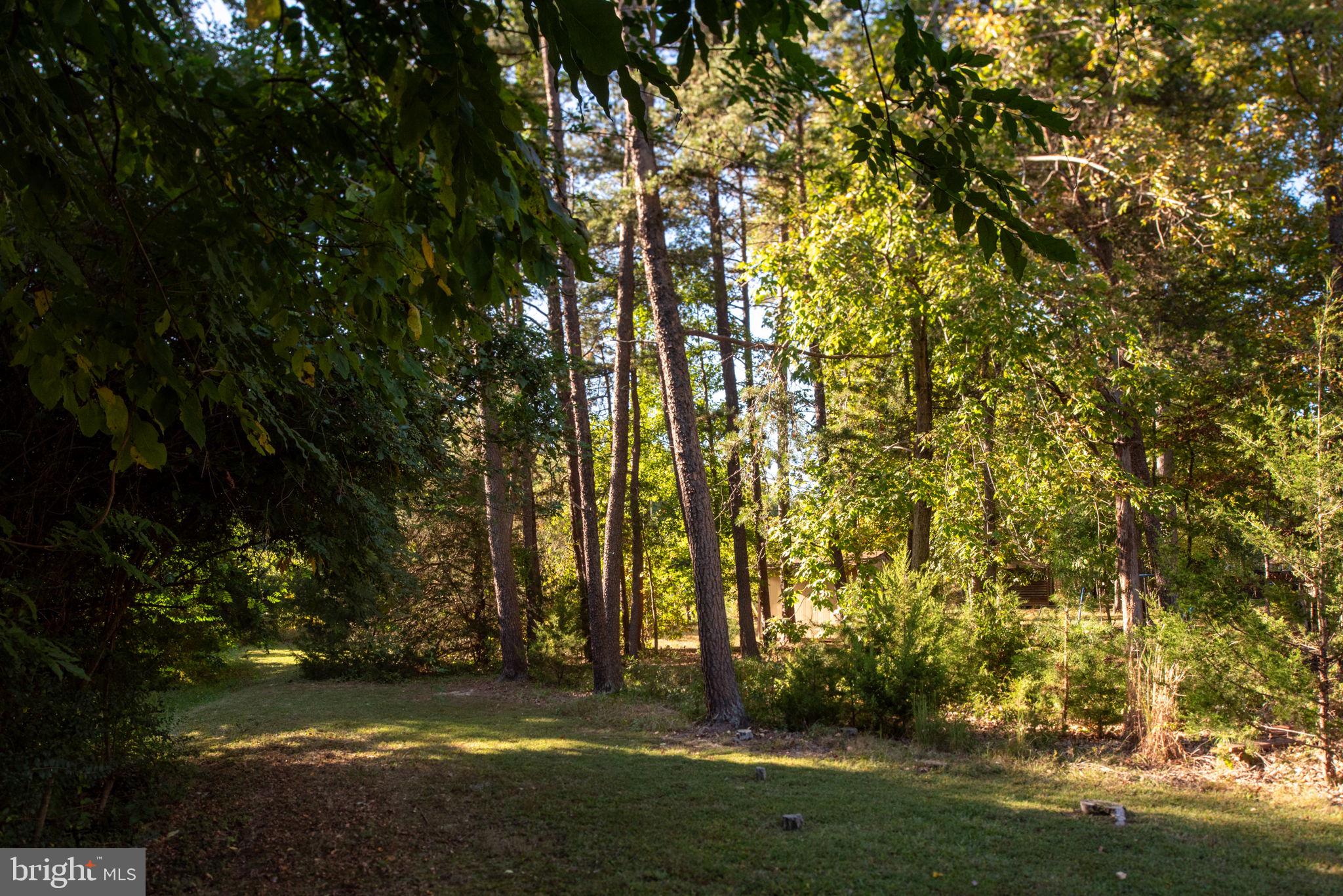 LAKE OF THE WOODS - Residential