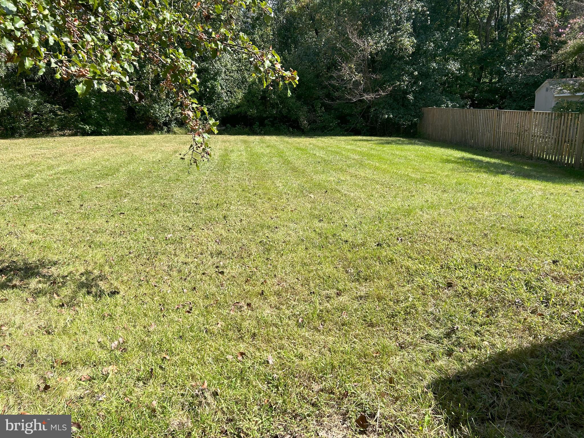 PINE TREE PLAT ONE - Residential