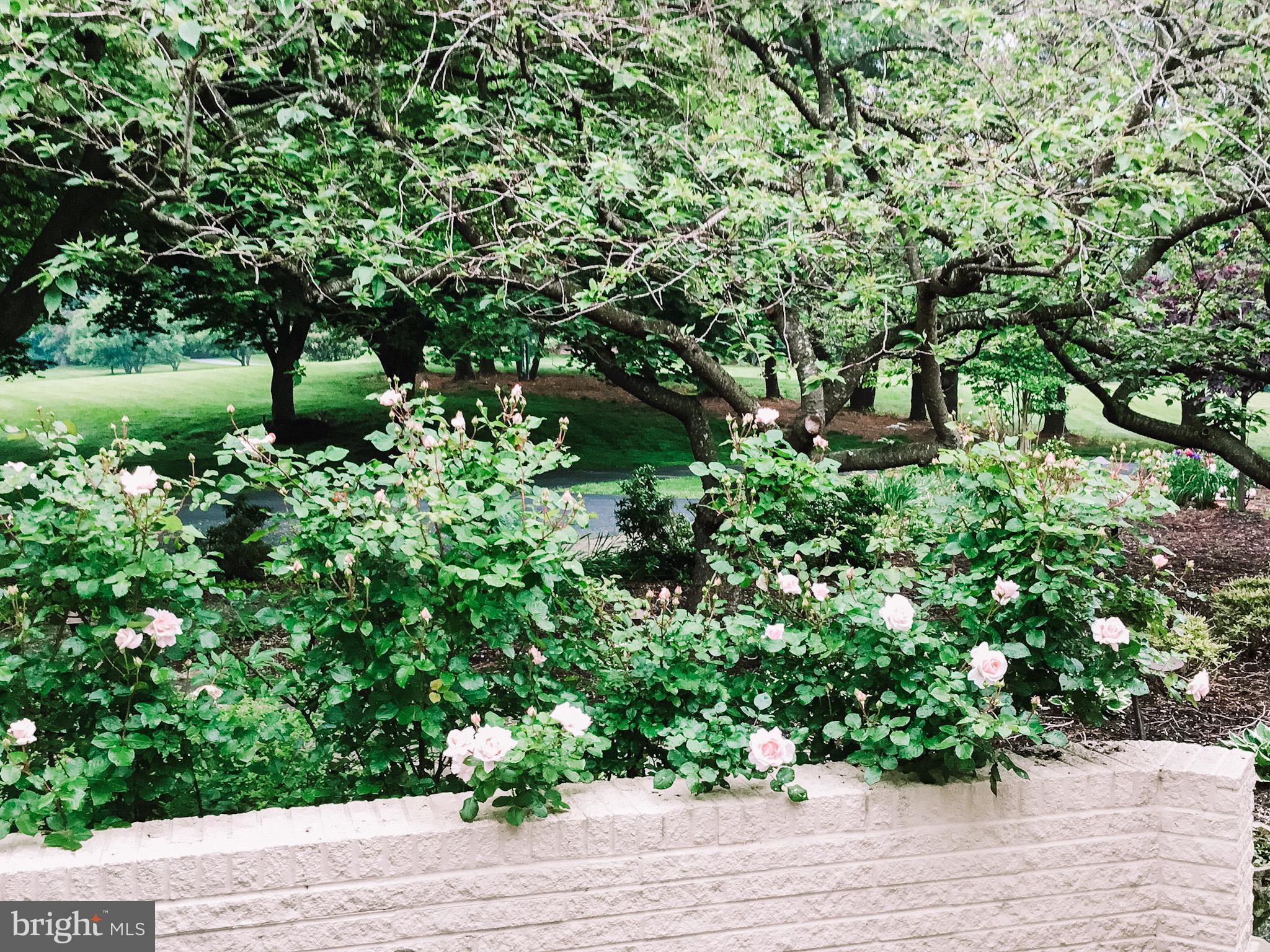 EVERGREEN FARM - Residential