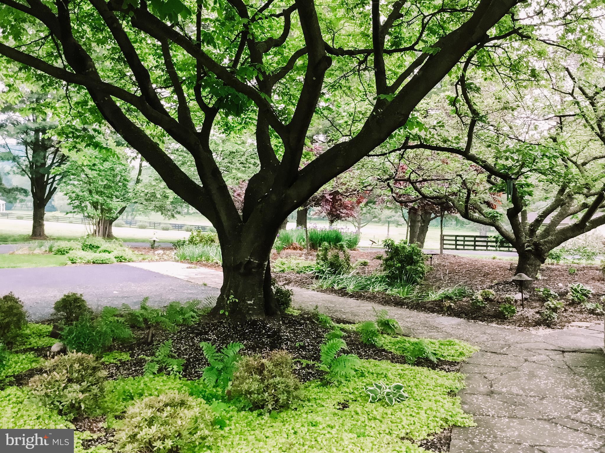 EVERGREEN FARM - Residential