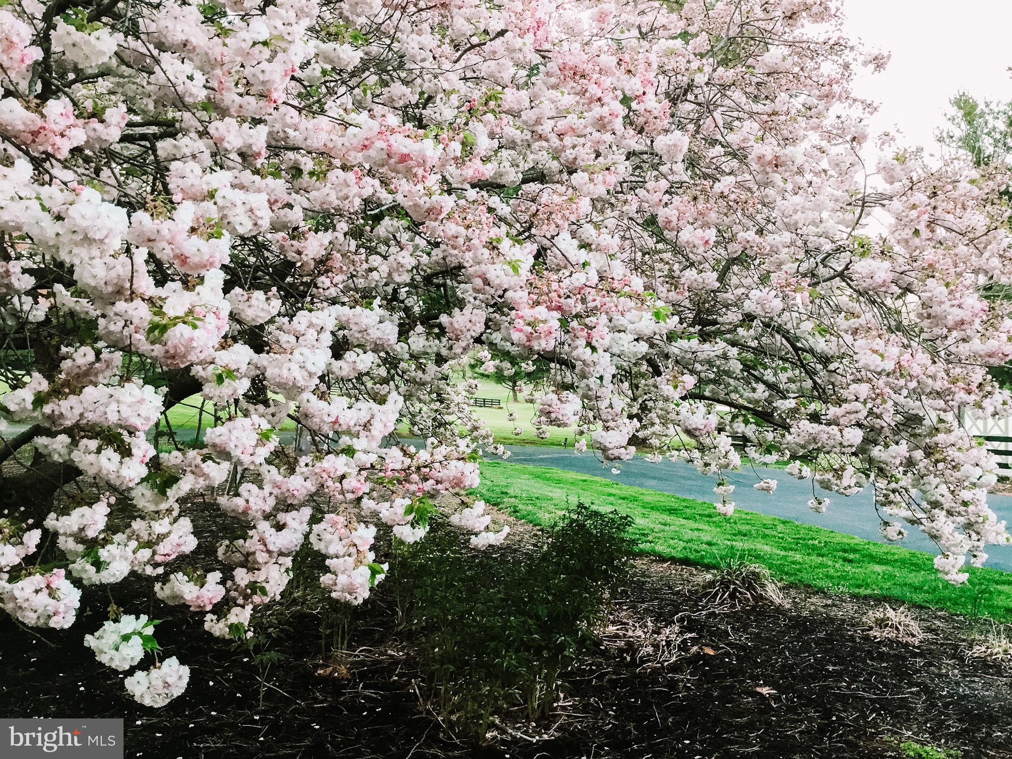 EVERGREEN FARM - Residential