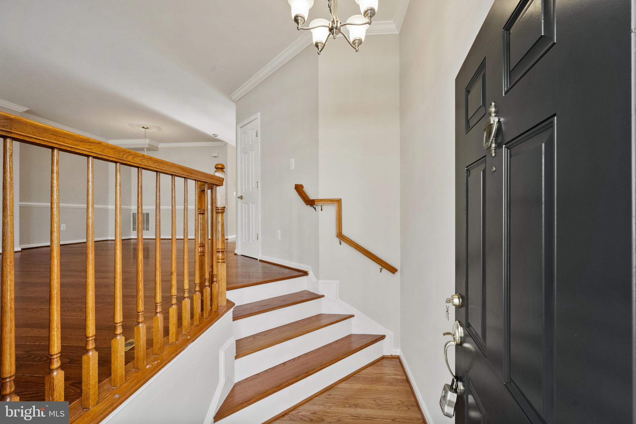 14607 ILLUMINATI WAY