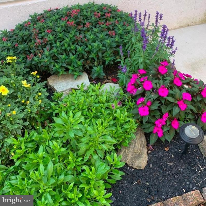 SUN VALLEY - Residential