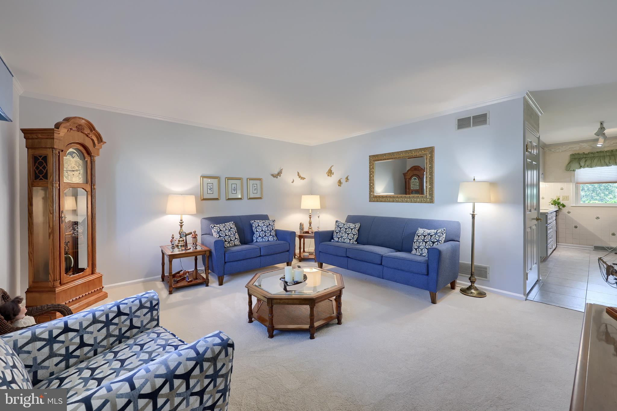 207 BROOKLINE ROAD