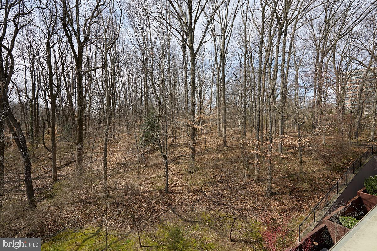 LITTLE FALLS PLACE - Residential