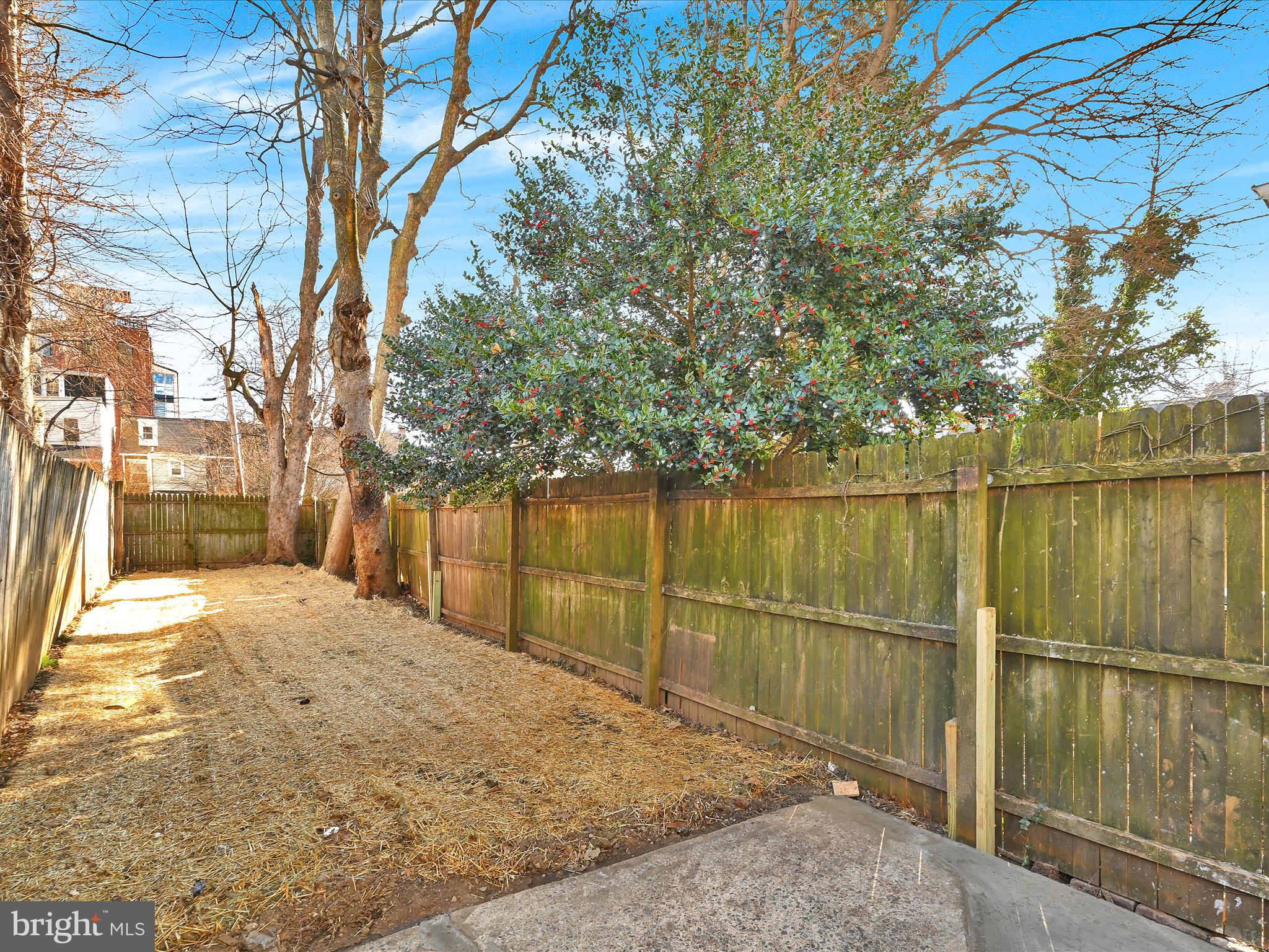 CHESTNUT HILL - Residential