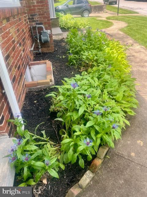 BELLEFONTE BOROUGH - Residential