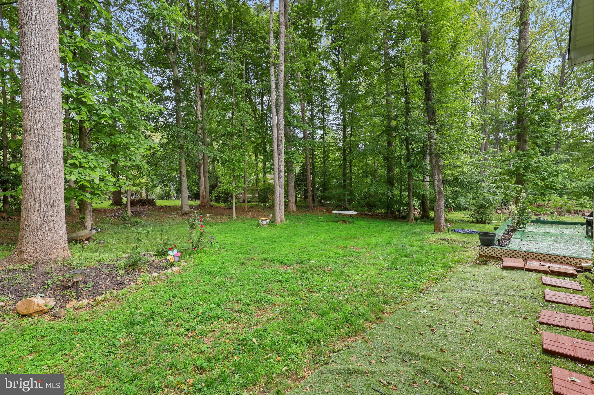 LAKE OF THE WOODS - Residential