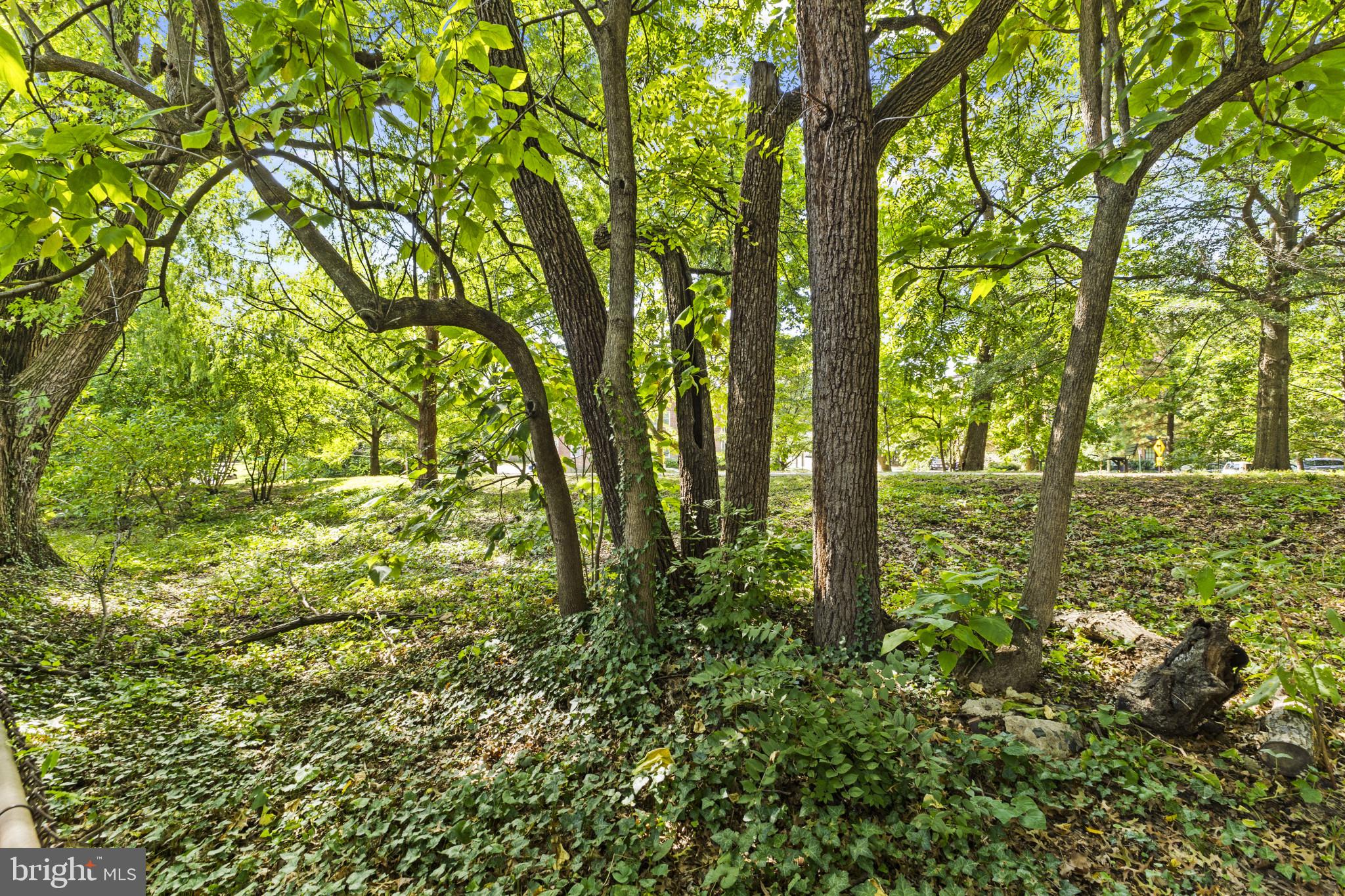 BALLSTON - Residential