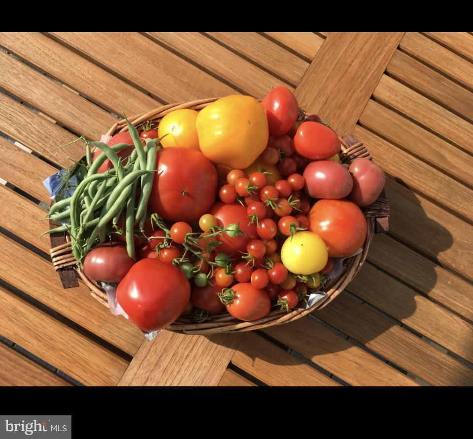 FALLSGROVE - Residential