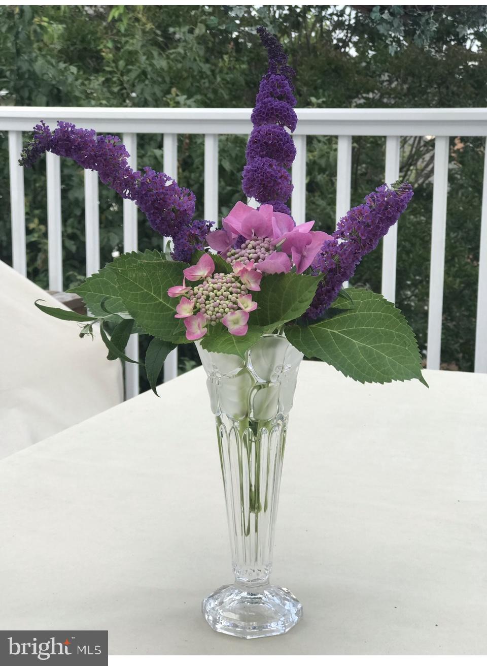 FALLSGROVE - Residential