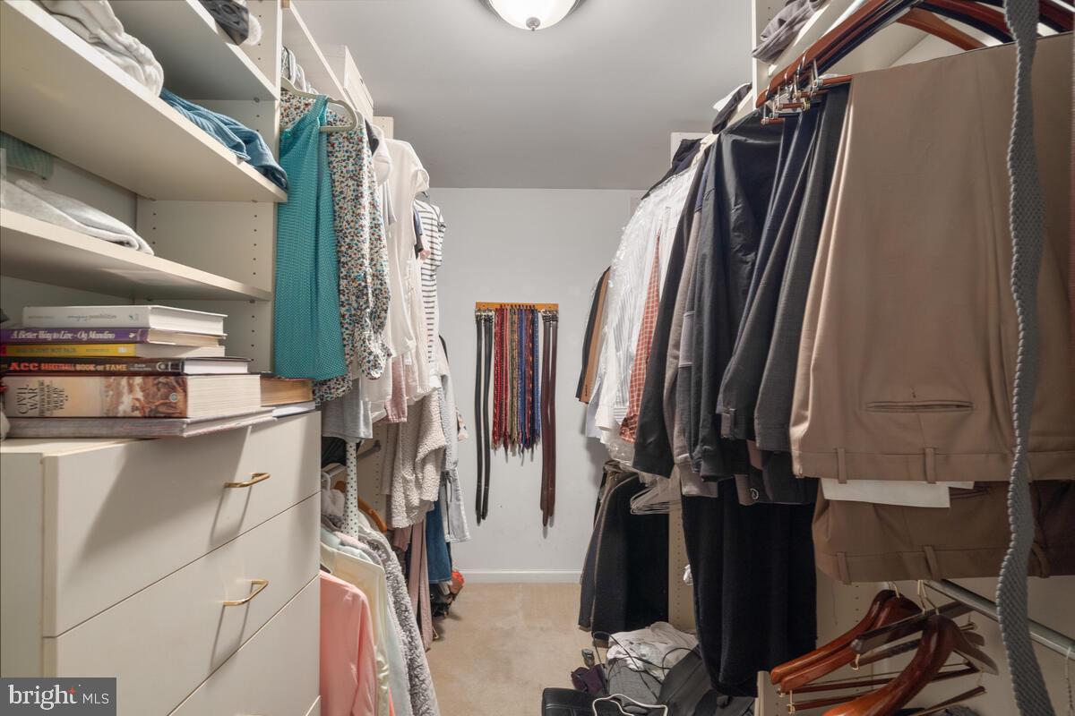 ASHLEY HOLLOW - Residential