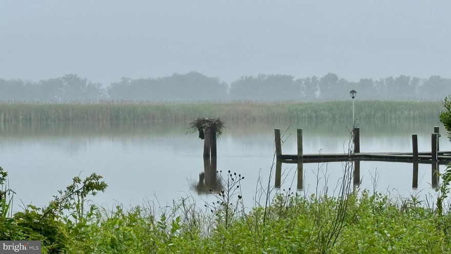 Located off Tanyard Road, this 81-acre waterfront farm offers a rare blend of charm, seclusion, and natural beauty. The property features a delightful cottage, circa 1900, renovated in 2014 with additional upgrades including new HVAC in 2019. Set among mature trees and outside the floodplain, the home includes two bedrooms, two and a half baths, a waterside living room with wood stove, a waterside porch, and an open-concept kitchen/family/dining area—also with a wood stove. Heart pine floors run throughout, and a partial basement houses mechanical systems. A carport adds practical convenience.

Approximately 24 acres are covered in mature hardwoods (select cut 15 years ago), with 38 acres under active cultivation. The property boasts extensive waterfront along Mitchell’s Run and the Choptank River. An ideal setting for the outdoors enthusiast, it offers existing wildlife habitat and significant potential for enhanced waterfowl and upland game environments. Directly across the river lies Nature Conservancy marshland—an undisturbed sanctuary for waterfowl.

Situated just 7 miles from Easton and 15 miles from Denton, this exceptional Eastern Shore retreat combines rural tranquility with easy access to town.