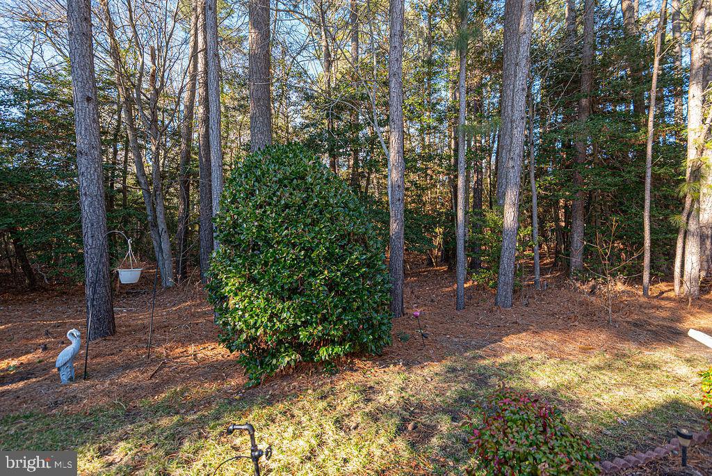 OCEAN PINES - THE PARKE - Residential